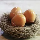 어제 아내가 집에서 훈제란 만들겠다고 전기 압력솥에 계란 넣고 만들었거든