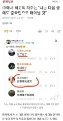 중국에서 공인된 욕 표현