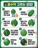맛있는 수박 고르는법