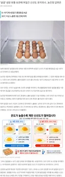‘달걀’ 냉장 유통·보관때 며칠간 신선도 유지되나? 농진청 답변은