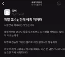 제발 교수님한테 예의 지켜라 제발 교수님한테 예의 지켜라