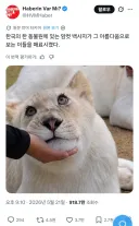 해외에서 화제인 한국 동물원