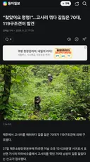 찾았어요 멍멍! 고사리 꺾다 길잃은 70대, 119구조견이 발견