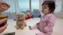 댕댕이 챙기는 아기