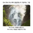 좌뇌 / 우뇌 발달에 따라 다르게 보이는 사진