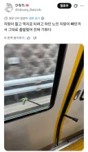 지팡이로 억지로 지하철 타려고 하던 노인의 최후