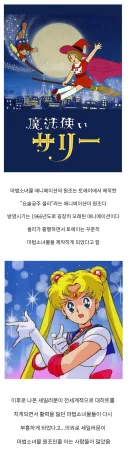 사람들이 잘모르는 마법소녀물 애니메이션의 원조