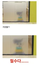 짱구 철수 고퀄 코스프레