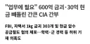 금괴 4000만 달러를 빼돌린 미국 CIA 요원.jpg