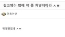 "길고양이 밥에 약 좀 넣지마라 ㅅㅂ"