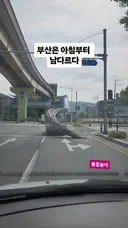 상남자의 도시 부산 도로 상황