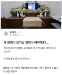 블라에서 논란이었던 강아지 장례식