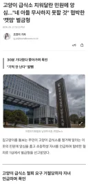 고양이 급식소 치워달란 민원에 앙심…'네 아들 무사하지 못할 것' 협박한 '캣맘' 벌금형