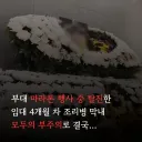 진짜 어처구니 없은 일로 사망한 어느 취사병