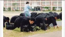 '검열' 이라는 점잖은 단어 써서 안 심각해 보이는거지
