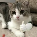 ㅇㅂ) 로가다+정소림 나메 클리어