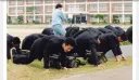암묵적인 동의라는게 진짜 무서운게 뭔지 암?