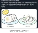 참외 씨 먹는다 VS 안 먹는다