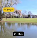 착륙 하지 않고 오래 날수 있는 새 TOP7.jpg