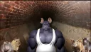 버튜버 세팅 평가좀