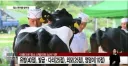 유방 40점, 다리 25점, 외모 25점, 엉덩이 10점.jpg