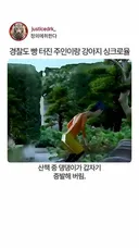 경찰도 빵터진 강아지랑 주인의 외모 싱크로율