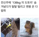 강제 철거 당해 망연자실한 집주인