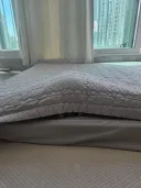 우리집 강아지 근황