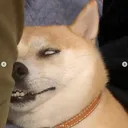 진짜 말도 안돼