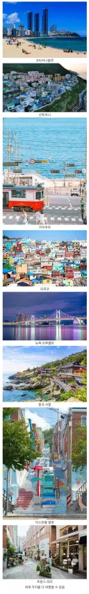 요즘 외국인들이 부산 오면 환장하는 이유....jpg
