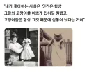 고양이와 인간의 역사