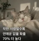 루리웹 회원들 특징