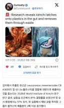 김치 근황.jpg