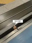 집 뒤에 건물에서 아재들 싸우는데