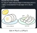 참외 씨 먹는다 VS 안 먹는다