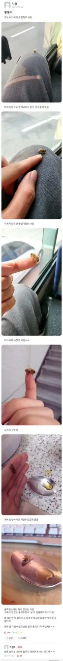 꿀벌 친구를 사귄 사람.jpg