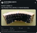 투표 인증