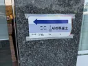 사전투표 오픈런