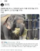 애들 편식에 지나치게 간섭하지 않아도 되는 이유