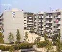 LPG 가스통을 달아 놓고 살았던 80년대.gif