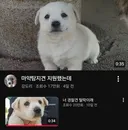 취직에 실패함.