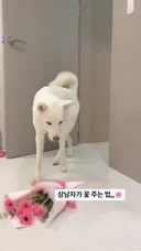 옜다 꽃다발
