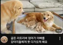 아빠가 왕따 당하는 가정