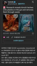 김치 근황