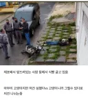 아무리 고양이지만 저건 심했다.jpg
