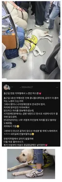출근길 지하철이 훈훈해진 이유