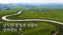 전라남도 공식 유튜브에 등장한 윤남노 특징.JPG