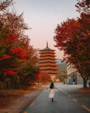부산 관광객 늘어나면서 낙수효과 누린다는 경주.jpg