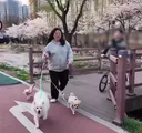개 키울 자격이 없는 여자.. 강형욱 딮빡