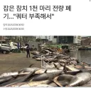 의외로 한국에서 잡히면 거의 버리는 생선